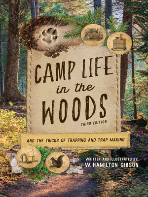 cover image of Camp Life in the Woods